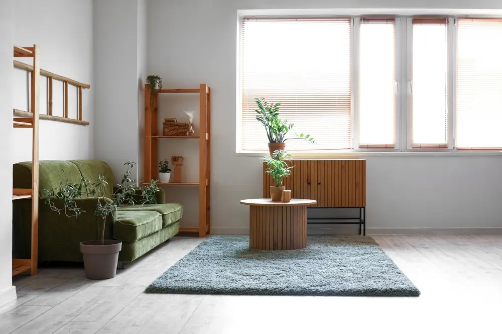Salon minimaliste avec un canapé vert, des plantes en pot et des meubles en bois. La lumière du soleil inonde les pièces par de grandes fenêtres, créant une atmosphère sereine.